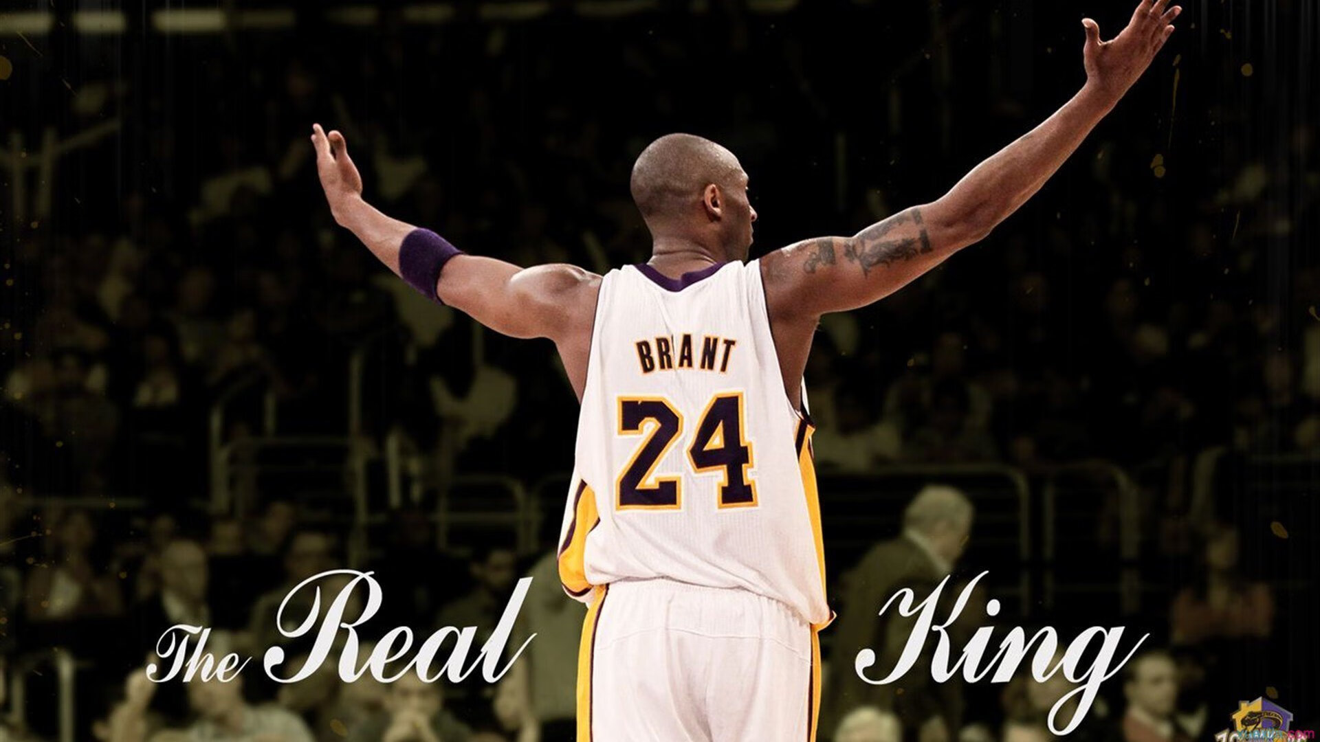 世界体育日特别策划：那些年我们追过的体坛英雄，世界体育名人介绍